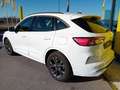 Ford Kuga 3ª serie - Kuga 1.5 EcoBoost 150 CV 2WD ST-Line Bianco - thumbnail 4