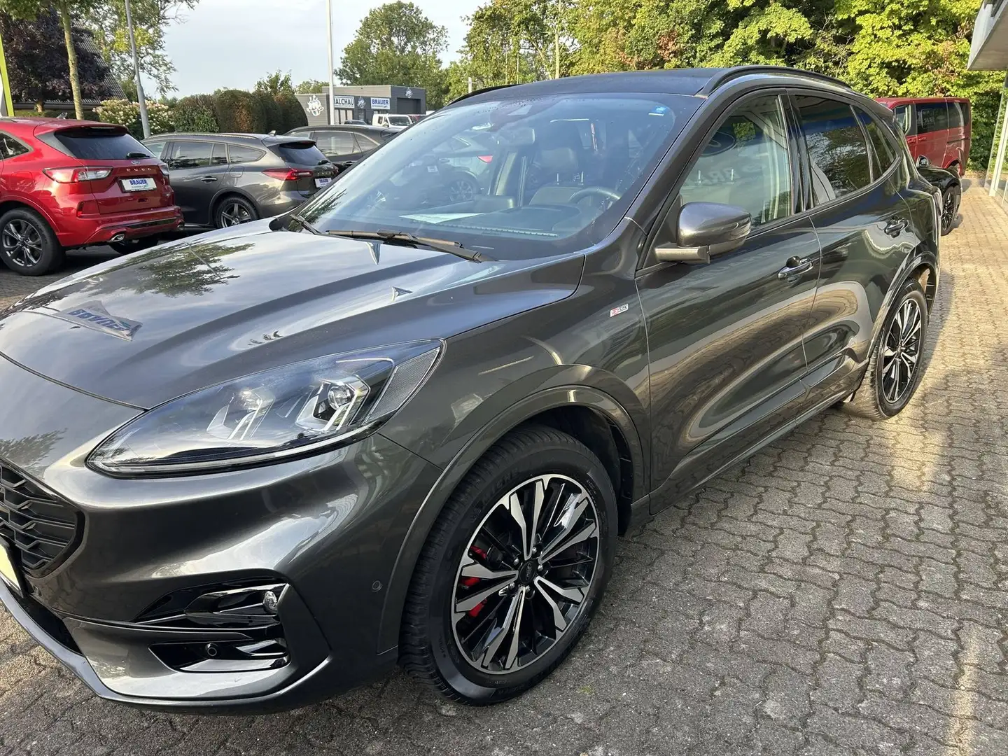 Ford Kuga ST-Line X Gris - 2