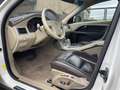 Volvo XC70 3.2 Summum AWD Automatik LPG 2.H Top Voll Weiss Bianco - thumbnail 12