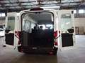 Ford Transit 350 L3H2 Trend Kombi ACC 2xKlima 9Sitz Weiß - thumbnail 8