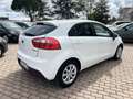Kia Rio 5p 1.1 crdi EX - thumbnail 5