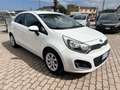 Kia Rio 5p 1.1 crdi EX - thumbnail 3