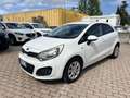 Kia Rio 5p 1.1 crdi EX - thumbnail 1
