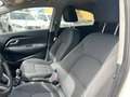 Kia Rio 5p 1.1 crdi EX - thumbnail 17