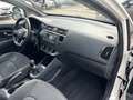Kia Rio 5p 1.1 crdi EX - thumbnail 13