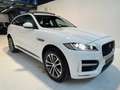 Jaguar F-Pace F-Pace 2015 2.0d i4 R-Sport awd 180cv auto my19 Bianco - thumbnail 1