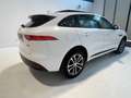 Jaguar F-Pace F-Pace 2015 2.0d i4 R-Sport awd 180cv auto my19 Bianco - thumbnail 6