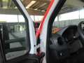 Mercedes-Benz Sprinter Sprinter 314 CDI T 39/35  IN ARRIVO Rosso - thumbnail 5