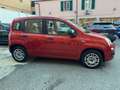 Fiat Panda Panda III 2012 1.2 Easy 69cv E6 Rosso - thumbnail 4
