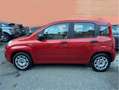 Fiat Panda Panda III 2012 1.2 Easy 69cv E6 Rosso - thumbnail 6