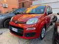 Fiat Panda Panda III 2012 1.2 Easy 69cv E6 Rosso - thumbnail 2