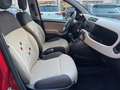 Fiat Panda Panda III 2012 1.2 Easy 69cv E6 Rosso - thumbnail 9