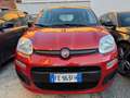 Fiat Panda Panda III 2012 1.2 Easy 69cv E6 Rosso - thumbnail 3