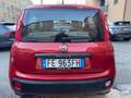 Fiat Panda Panda III 2012 1.2 Easy 69cv E6 Rosso - thumbnail 8