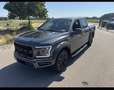Ford F 150 XL ST-X * Pacchetto Extreme Gris - thumbnail 1