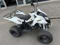 Access SP 300 Goes MOTOR SP300-S Automaat Gordel 19 PK - thumbnail 10