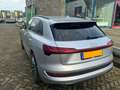 Audi e-tron 55Q Argintiu - thumbnail 2