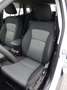 Suzuki S-Cross 1,4 DITC Hybrid shine Weiß - thumbnail 10