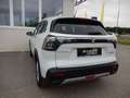 Suzuki S-Cross 1,4 DITC Hybrid shine Weiß - thumbnail 6