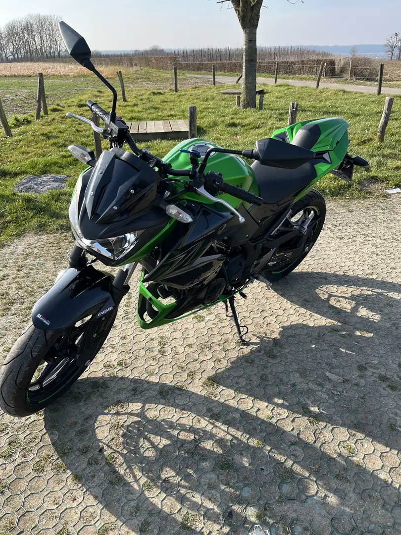 Kawasaki Z 300 Kawasaki Z300 ABS - 1