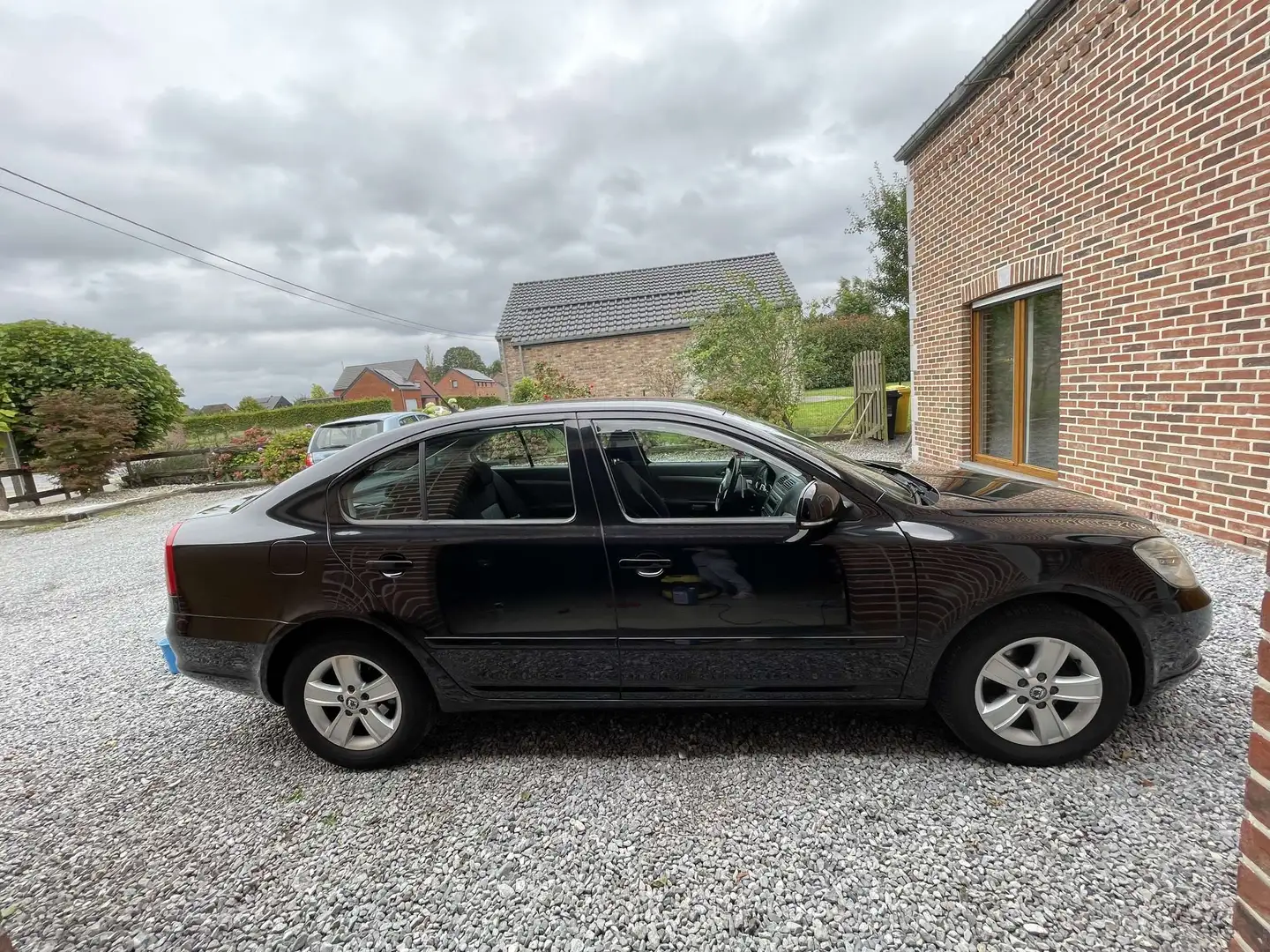 Skoda Octavia Octavia 1.6 TDI Greenline Negru - 1