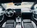 Audi A4 A4 Avant 2,0TDI quattro Sport  Pickerl bis 07/2026 Weiß - thumbnail 12