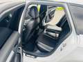 Audi A4 A4 Avant 2,0TDI quattro Sport  Pickerl bis 07/2026 Weiß - thumbnail 20