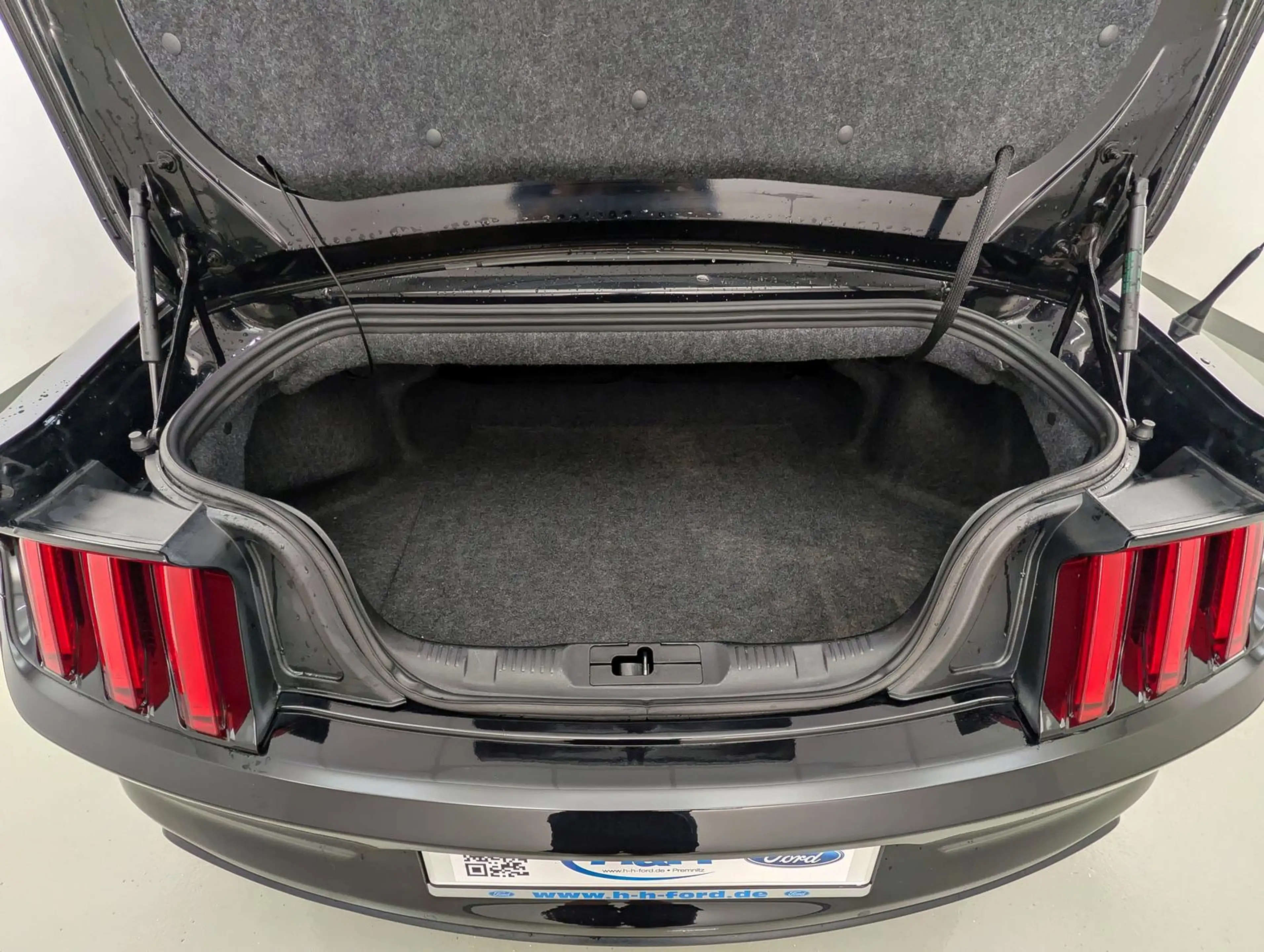 Ford Mustang 2.3 EcoB Aut Convertible SitzKlima+Kam — photo 11