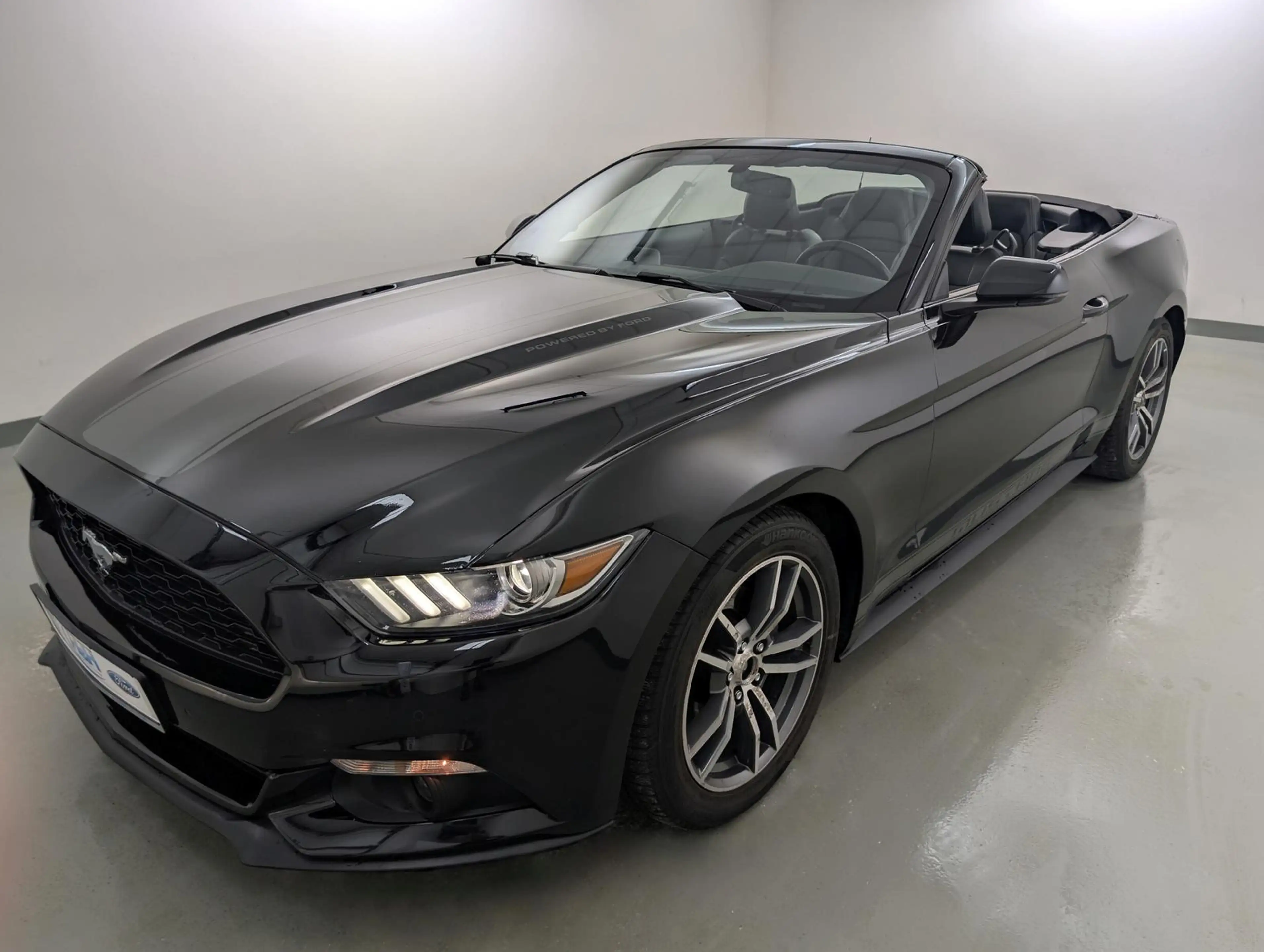 Ford Mustang 2.3 EcoB Aut Convertible SitzKlima+Kam — photo 5