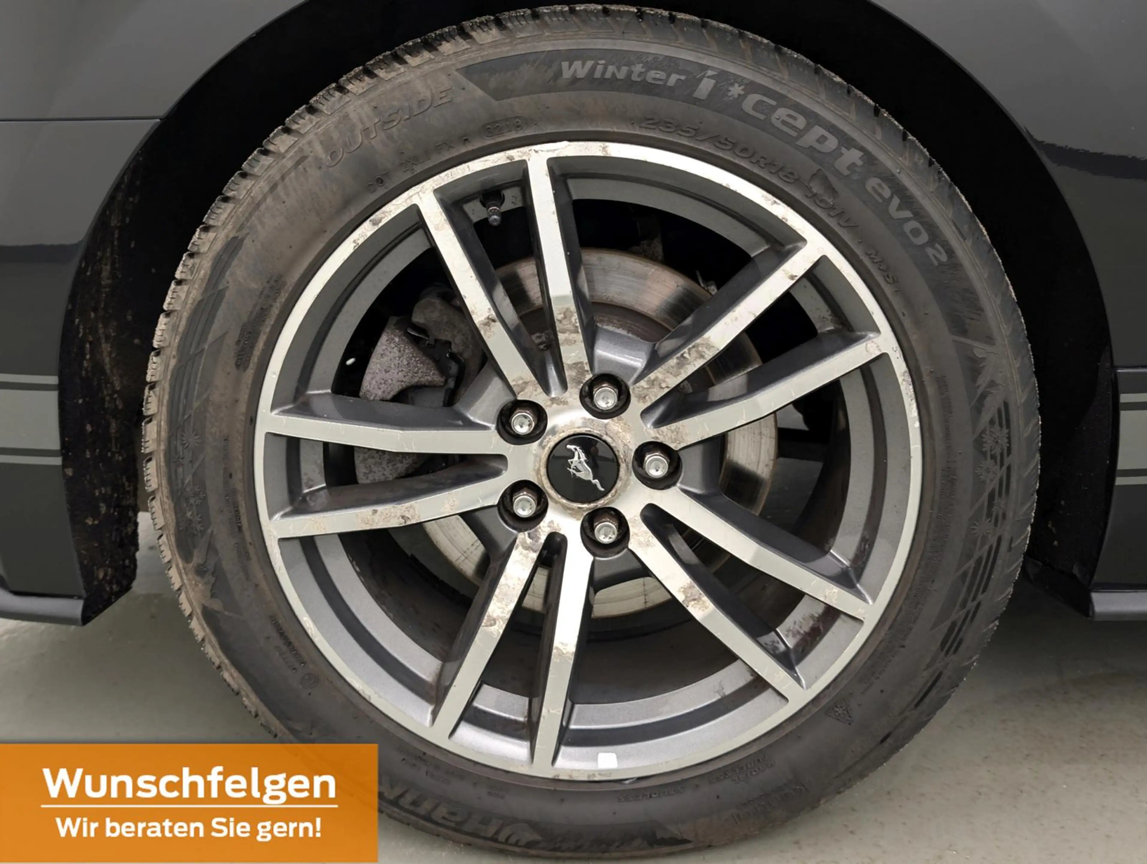 Ford Mustang 2.3 EcoB Aut Convertible SitzKlima+Kam — photo 10
