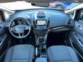 Ford Grand C-Max Titanium, 7-SITZER, NAVI, KAMERA,AHK Argintiu - thumbnail 8