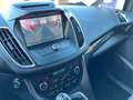 Ford Grand C-Max Titanium, 7-SITZER, NAVI, KAMERA,AHK Argintiu - thumbnail 11