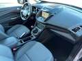 Ford Grand C-Max Titanium, 7-SITZER, NAVI, KAMERA,AHK Argintiu - thumbnail 10