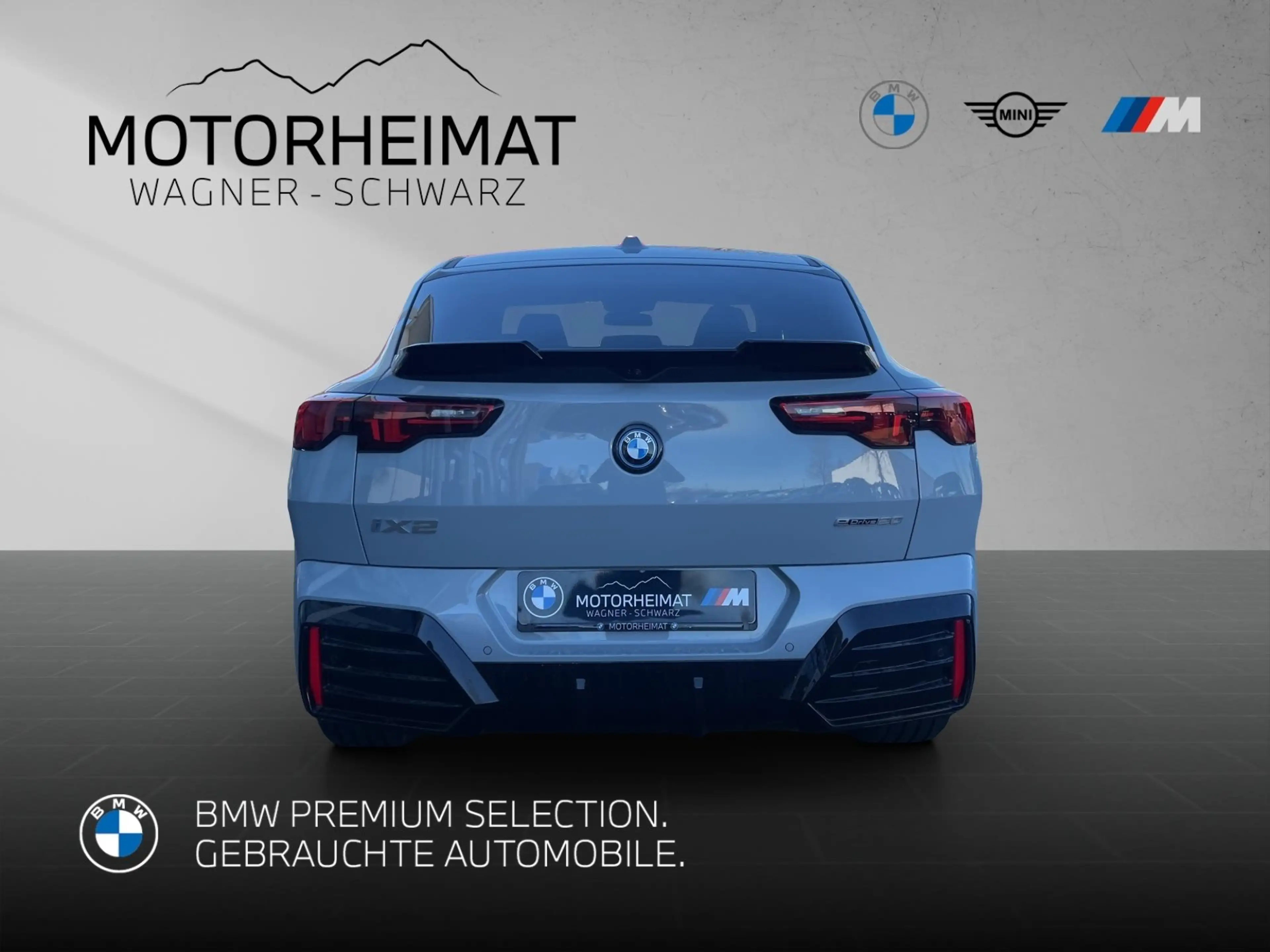 BMW iX2 eDrive20 M Sport Pro 20" HUD 360°H/K AHK — photo 6
