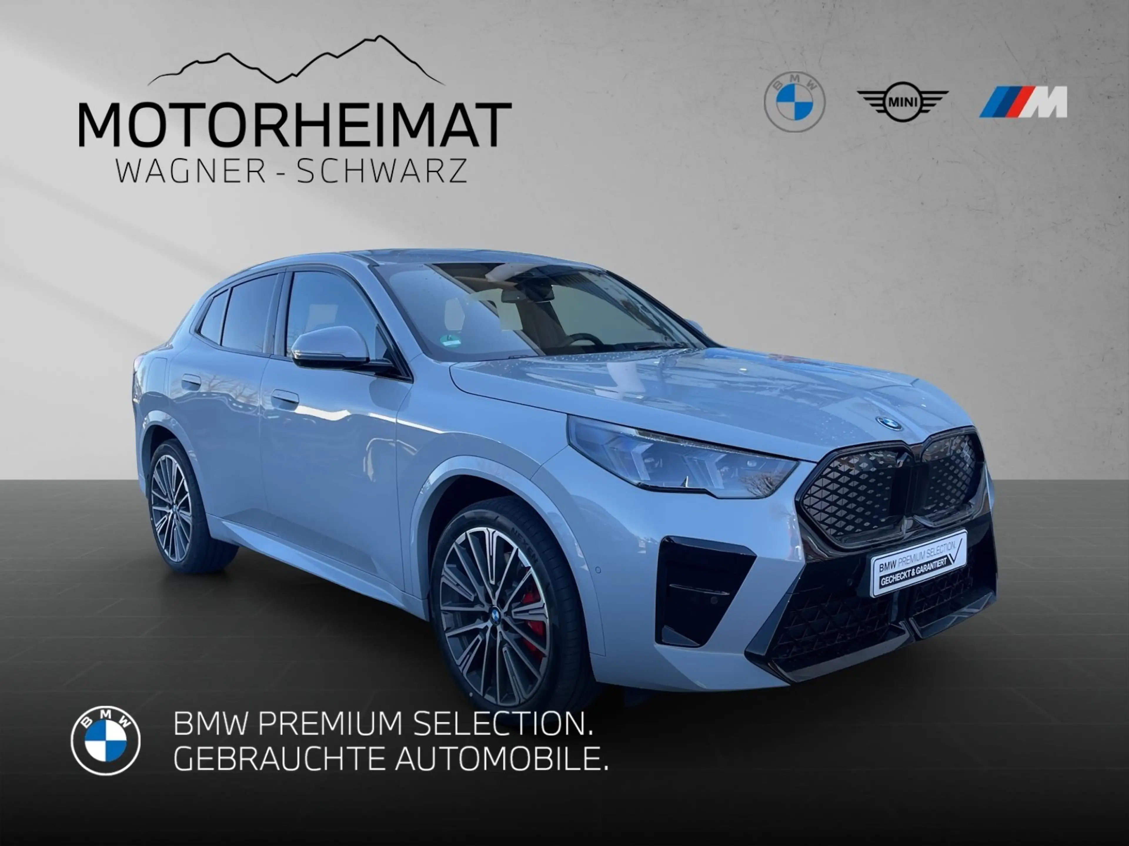 BMW iX2 eDrive20 M Sport Pro 20" HUD 360°H/K AHK — photo 4