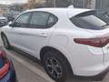 Alfa Romeo Stelvio Stelvio 2020 2.2 t Business Q4 190cv auto Blanc - thumbnail 4