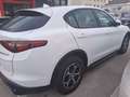 Alfa Romeo Stelvio Stelvio 2020 2.2 t Business Q4 190cv auto Blanc - thumbnail 5