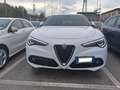 Alfa Romeo Stelvio Stelvio 2020 2.2 t Business Q4 190cv auto Blanc - thumbnail 1