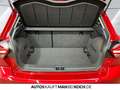 SEAT Ibiza Style Edition 1.0 TSI DSG PDC SHZ LED Klima Rot - thumbnail 14