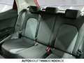 SEAT Ibiza Style Edition 1.0 TSI DSG PDC SHZ LED Klima Rot - thumbnail 7