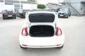 Fiat 500C FireFly Hybrid 70 Weiß - thumbnail 6