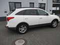 Hyundai iX55 ix55 3.0 V6 CRDi Premium NaviLederXenonAllrad Weiß - thumbnail 4