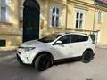 Toyota RAV 4 RAV4 2,5 Hybrid Lounge 2WD Aut. Lounge Weiß - thumbnail 1