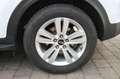 Kia Sportage Vision 2WD Weiß - thumbnail 12