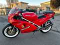 Ducati 851 S Rojo - thumbnail 8