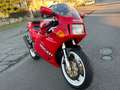 Ducati 851 S Rojo - thumbnail 6
