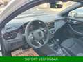 Skoda Scala Drive *Sportsitz*SmartLi*beh.Lenkr*Alcant* Weiß - thumbnail 20