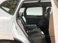 CUPRA Ateca 2.0 TSI VZ 4Drive DSG Beats Panorama LED Weiß - thumbnail 10