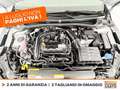 Volkswagen Polo 1.0 tsi life 95cv dsg Grigio - thumbnail 13