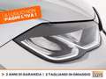 Volkswagen Polo 1.0 tsi life 95cv dsg Grigio - thumbnail 15